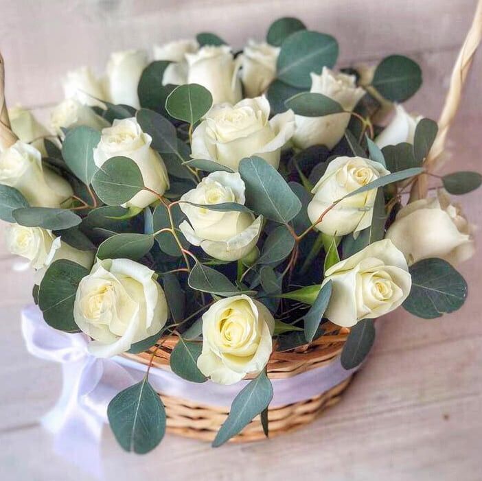 Радость дня от 9 600 руб.